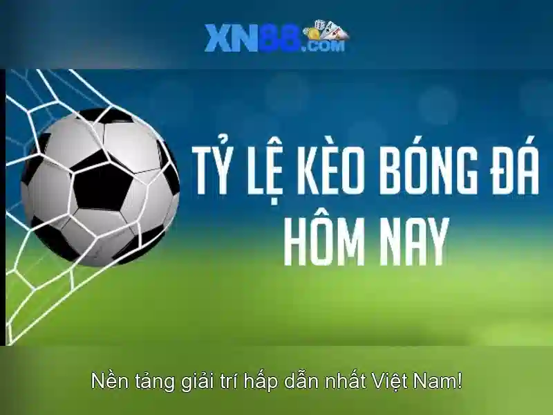 Nền tảng và nguồn gốc