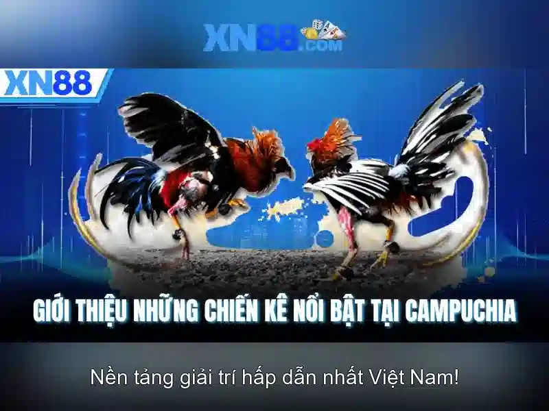 xn88: Nền tảng trò chơi trực tuyến an toàn