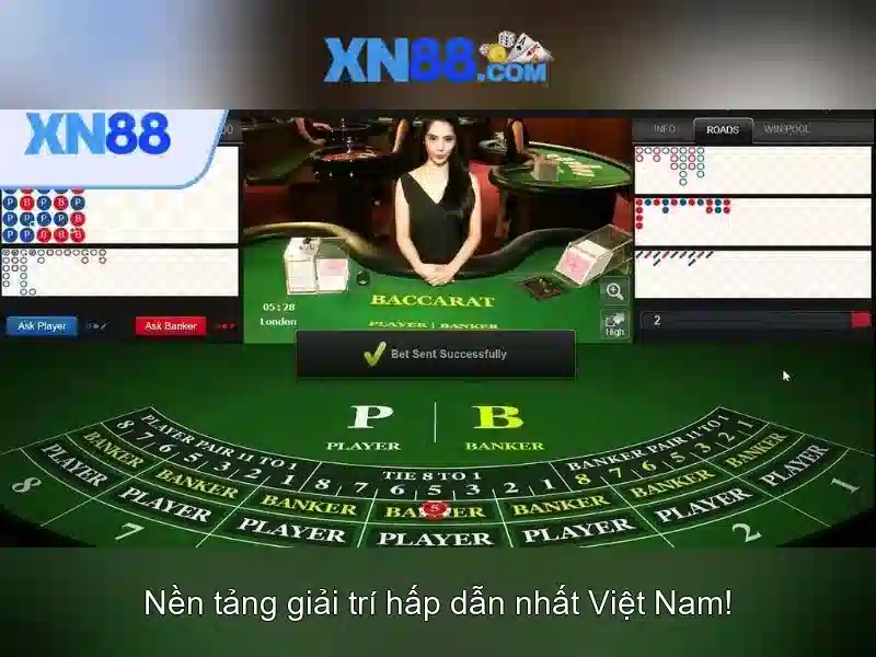 Kết luận và lưu ý khi tham gia