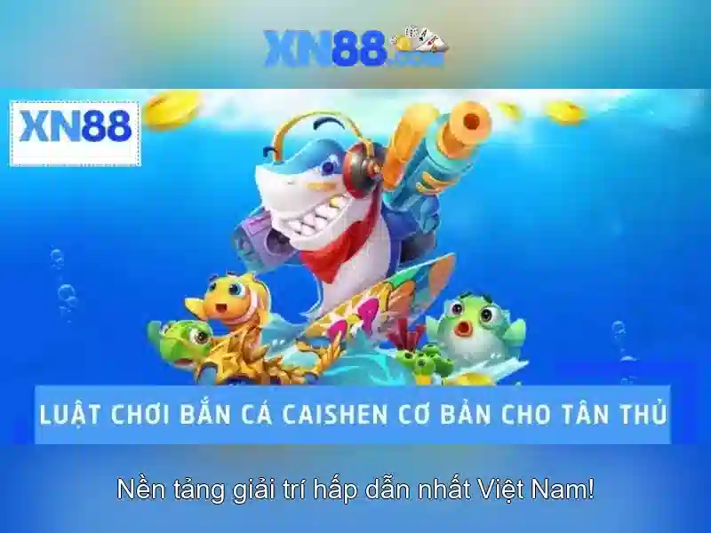 Trải nghiệm người dùng và thanh toán