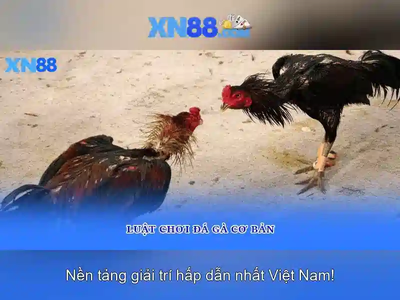 Mẹo chơi bắn cá 3 cây dễ ăn tiền nhà cái