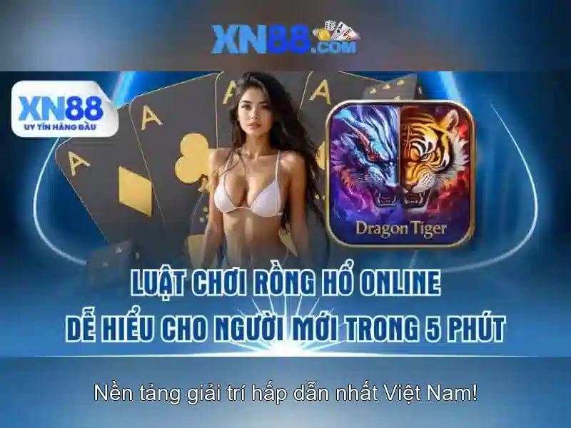 Những đặc điểm nổi bật của xn88\n\n