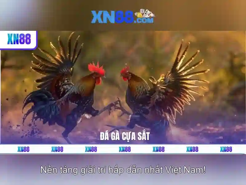 Trai nghiem xn88 chinh thuc