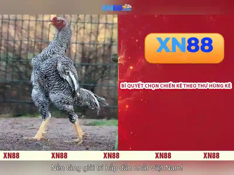 Mẹo chơi bắn cá 3 cây dễ ăn tiền nhà cái