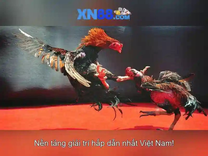 Mẹo chơi bắn cá 3 cây dễ ăn tiền nhà cái