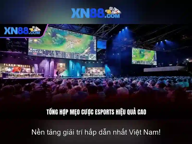 An toàn và trách nhiệm khi chơi 
