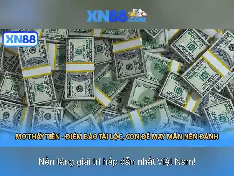 Các trò chơi và trải nghiệm