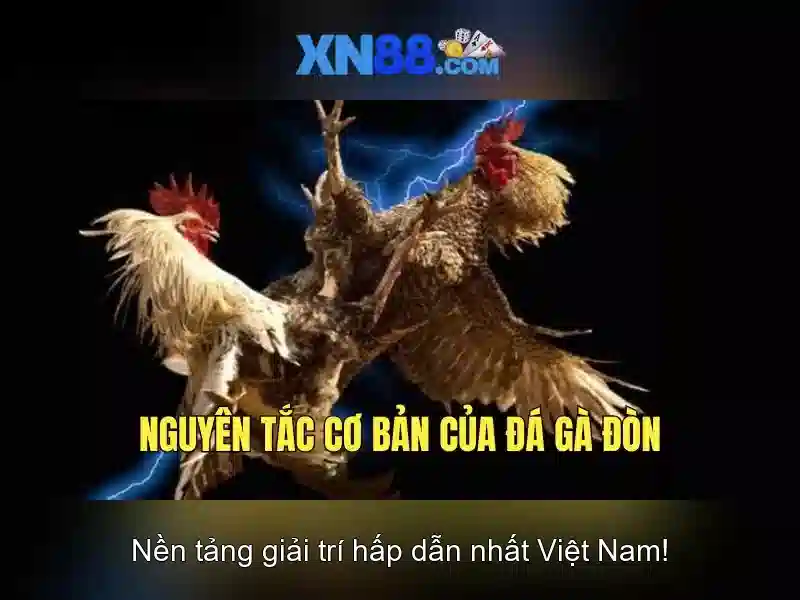 Tính năng của xn88