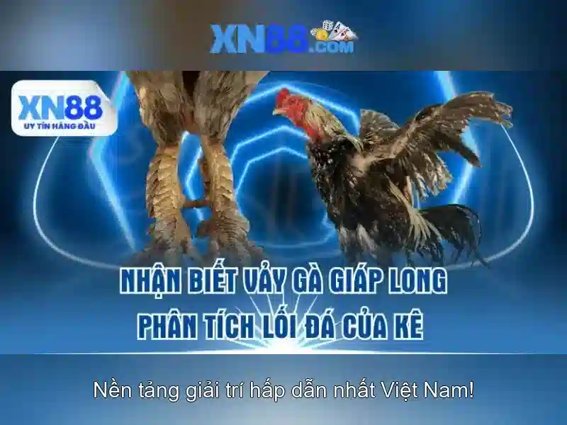 Các sản phẩm và dịch vụ cốt lõi của xn88 jpn.com