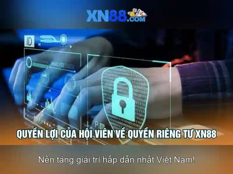 XN88: Tổng quan về nền tảng cược trực tuyến
