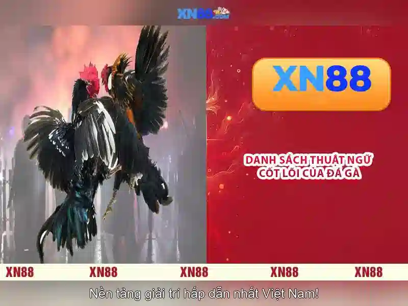Lịch sử và nguồn gốc của xn88