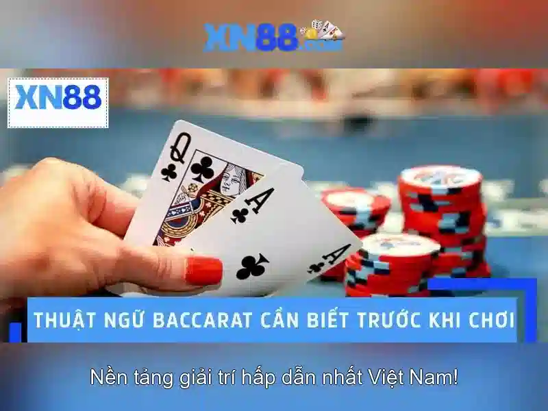 Nền tảng và dịch vụ