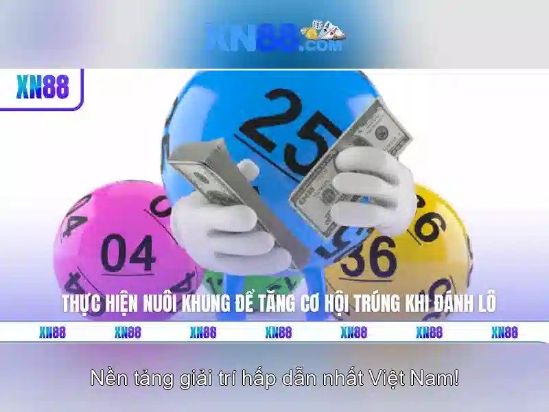 Chính sách an toàn và hỗ trợ