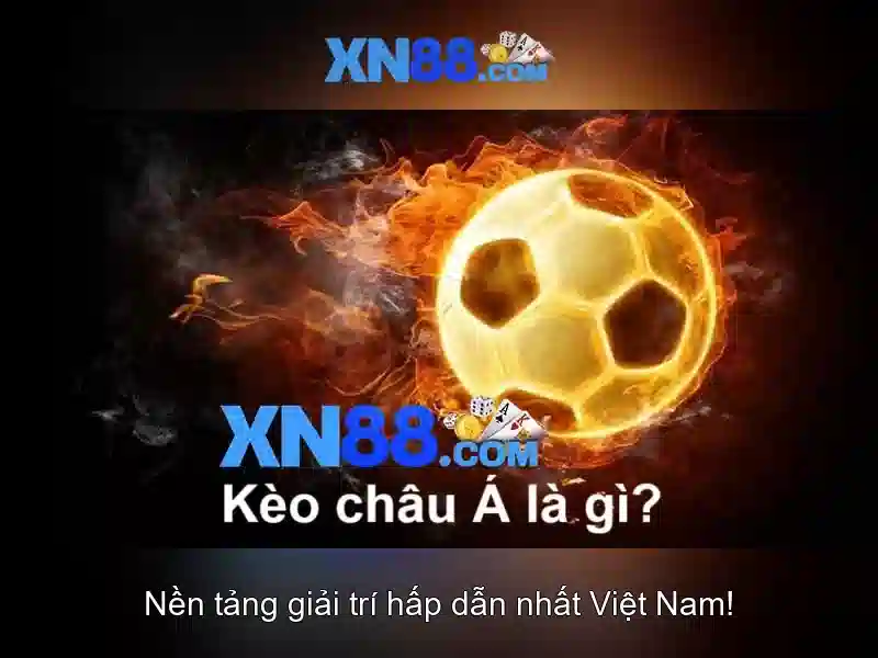 An toàn và hỗ trợ người dùng