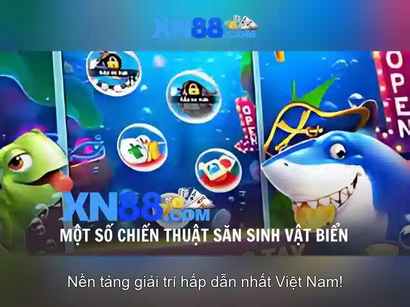 Trải nghiệm người dùng và hỗ trợ