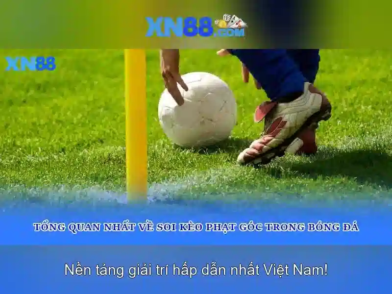 xn88: Giới thiệu và những điều cần biết