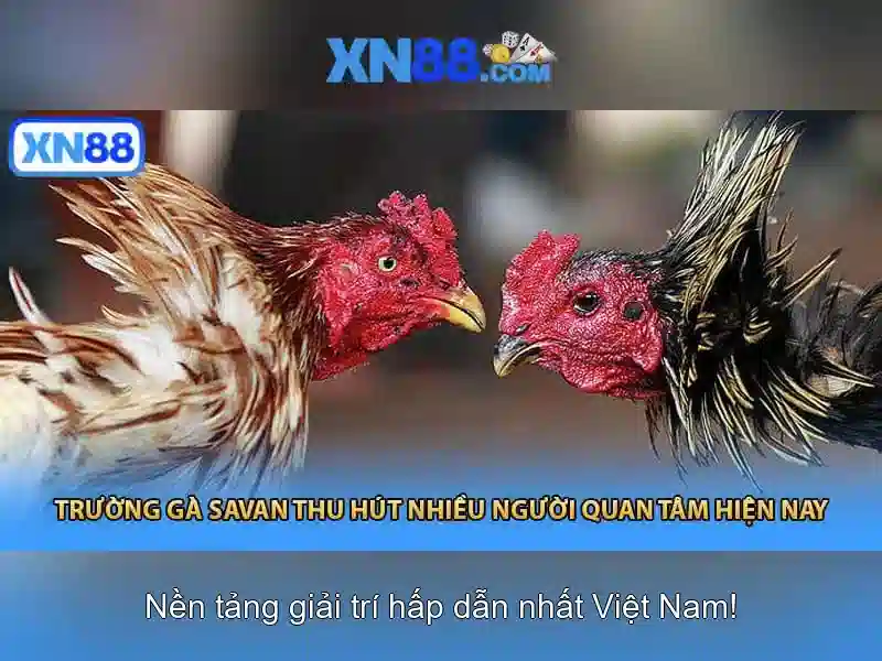 Hướng dẫn tham gia an toàn