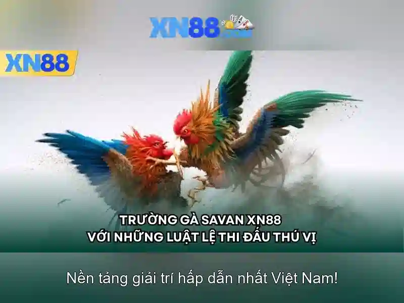 XN88: Giới thiệu về nền tảng giải trí trực tuyến