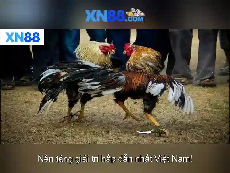 Mẹo chơi bắn cá 3 cây dễ ăn tiền nhà cái