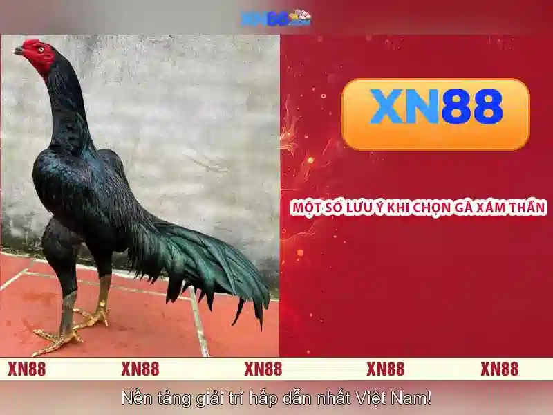 Hỗ trợ khách hàng và chất lượng dịch vụ