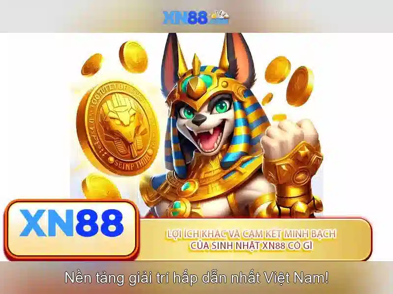 Các tính năng nổi bật