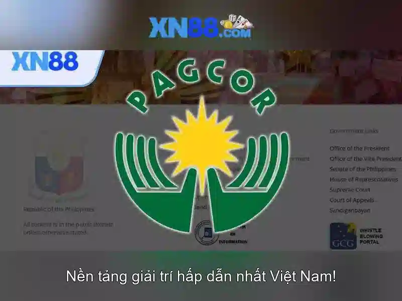 Kết luận và triển vọng