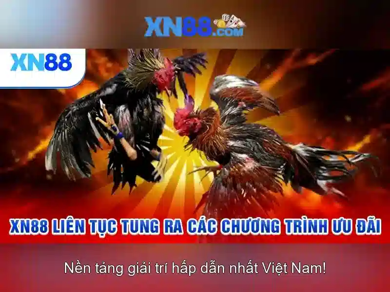 Trò chơi phổ biến và cách chơi