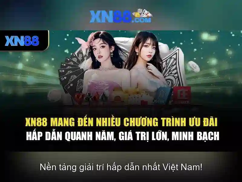 Tóm tắt và lời mời trải nghiệm