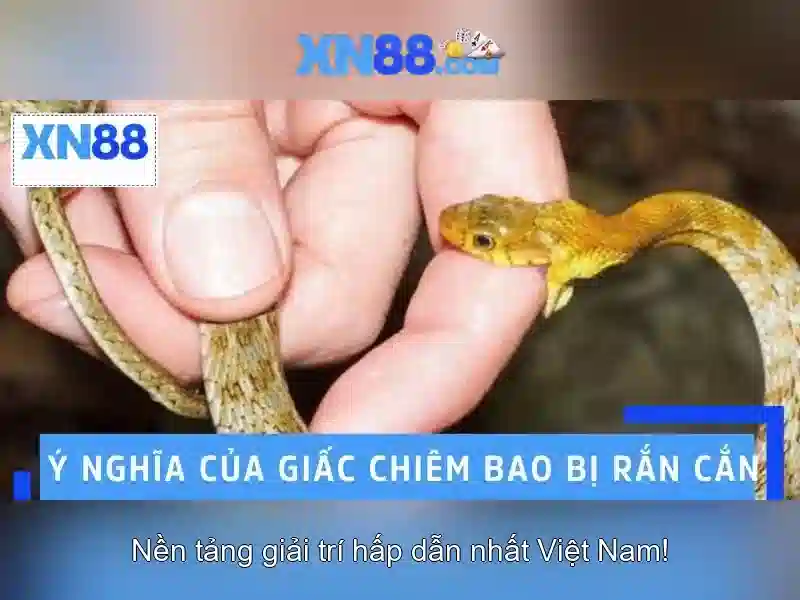 Mẹo chơi bắn cá 3 cây dễ ăn tiền nhà cái