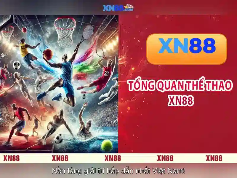 Xn88: Giới thiệu và dòng chảy cơ bản\n\n