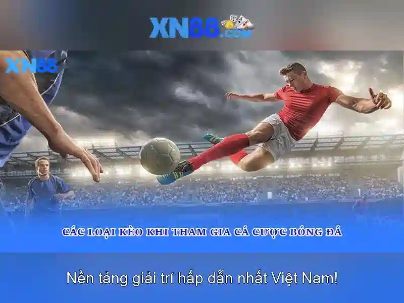 Đánh giá từ người dùng và cộng đồng