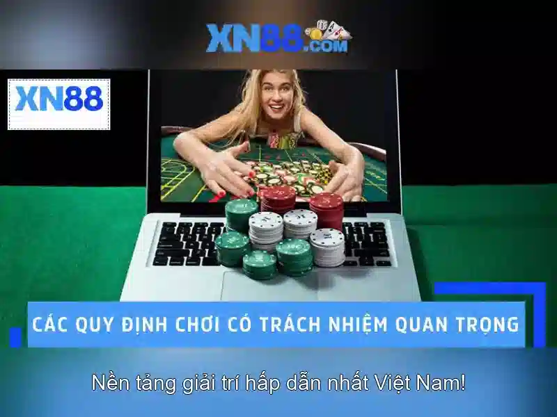 Lịch sử và nguồn gốc của xn88
