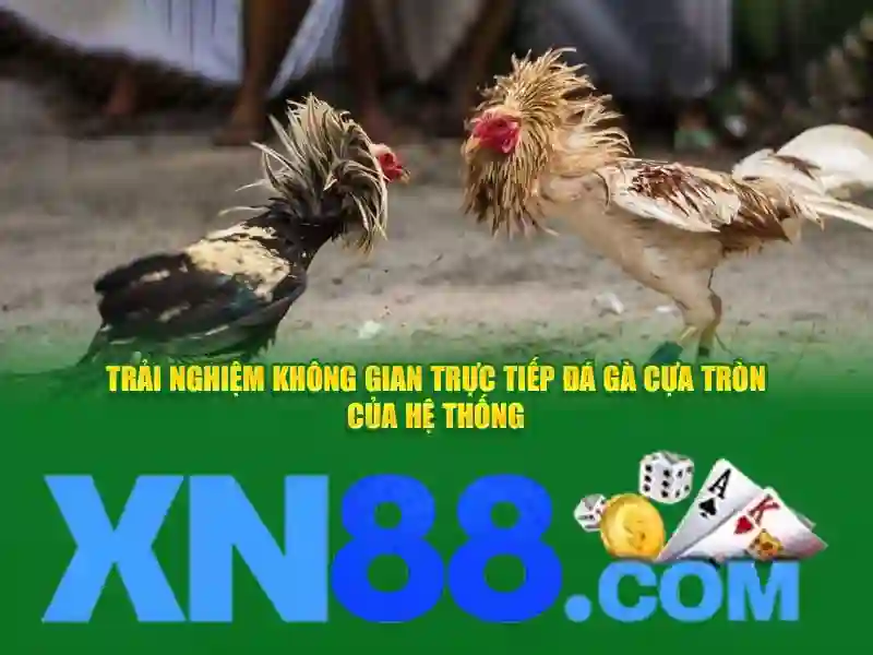 Các trò chơi và tính năng nổi bật